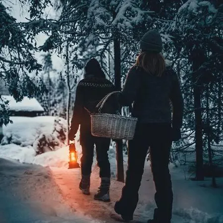 Venejoen Piilo - Lato * Kontiolahti