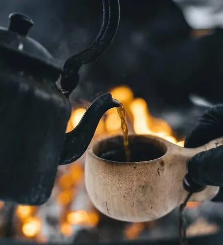 شاليه Venejoen Piilo - Lato *